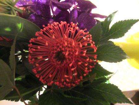 �s���N�b�V����(Pincushions)10