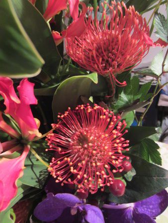 �s���N�b�V����(Pincushions)11