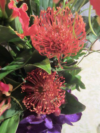 �s���N�b�V����(Pincushions)17