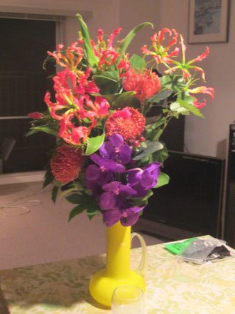 �t�����[�u�[�P19