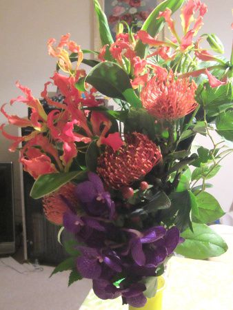 �t�����[�u�[�P21