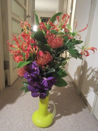 �t�����[�u�[�P22
