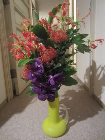 �t�����[�u�[�P24