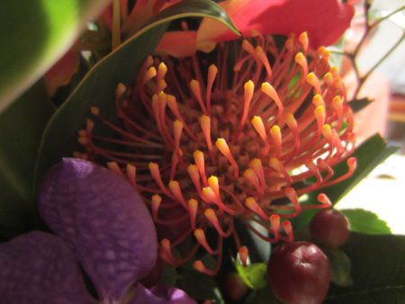 �s���N�b�V����(Pincushions)5