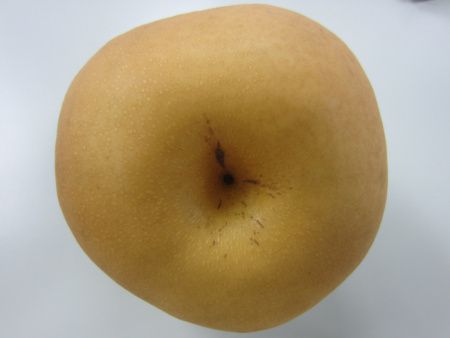 �V����