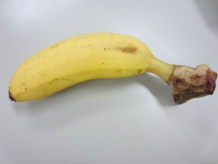 �Z�j�����[�^�o�i�i