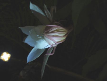 �������l