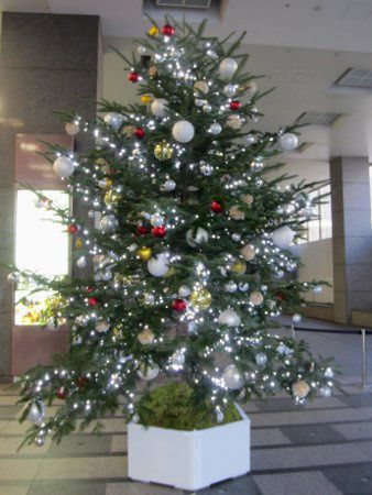 �N���X�}�X�c���[