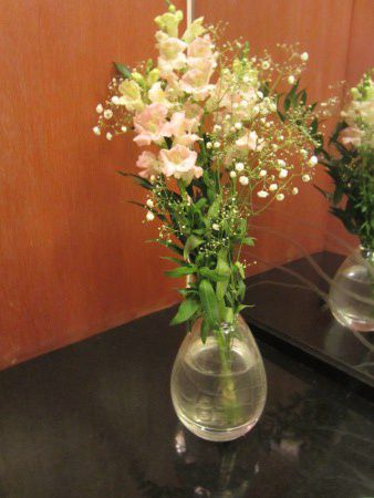 �g�C����13