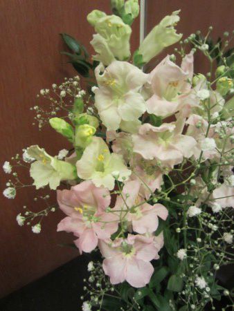 �L���M���\�E15
