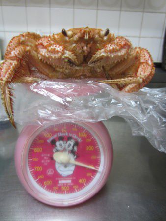 �ъI310g