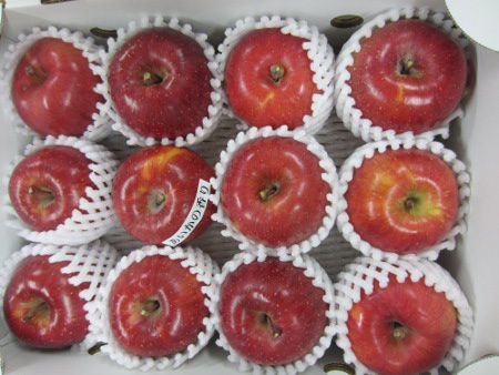 �����S�EApple
