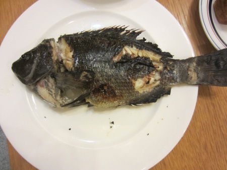 �މʁ|�O�����Ă�