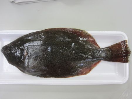 �q����