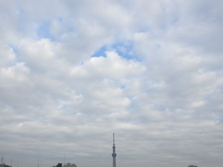�����X�J�C�c���[