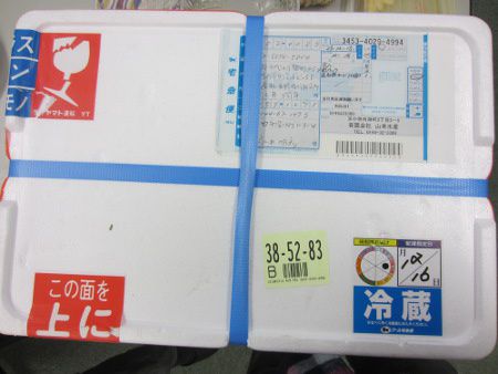�k�C������̏���