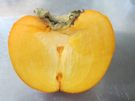 �悱�̊`