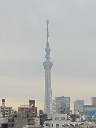 �����X�J�C�c���[(2014�N1��9��)