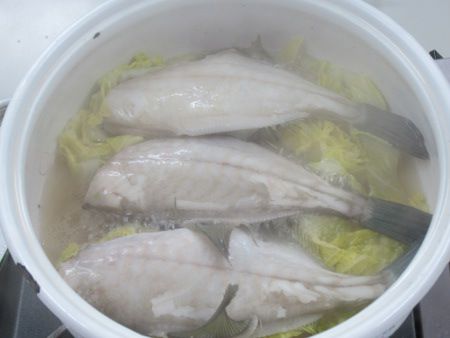 �J���n�M