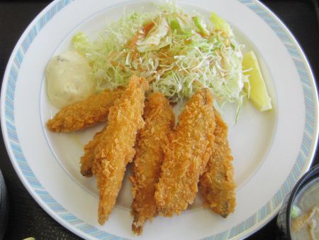 �킩�����t���C