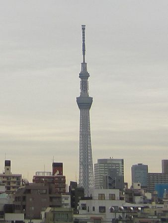�����X�J�C�c���[(2014�N1��15��)