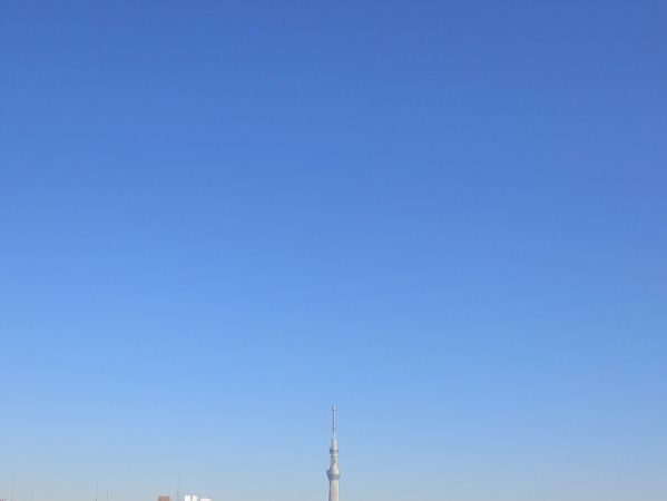 �����X�J�C�c���[(2014�N1��28��)