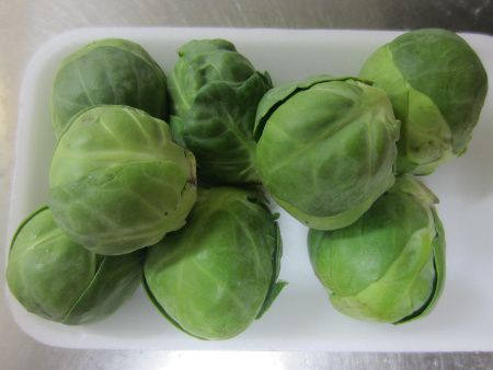 ���L���x�c�i��Cabbage�j
