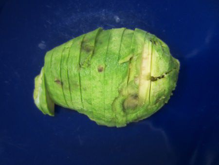 �A�{�J�h(Avocado)