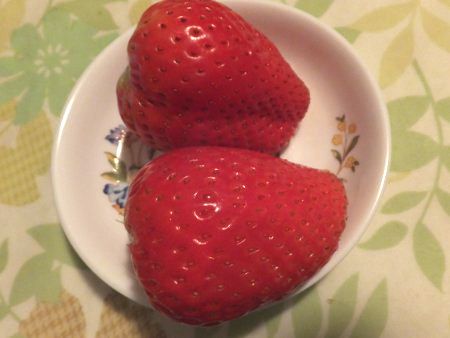 �X�J�C�x���[
