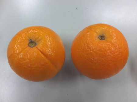 �l�[�u���I�����W