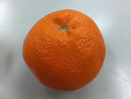 �C���J�����񂫂�
