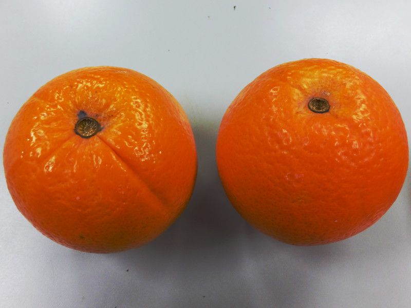 �l�[�u���I�����W
