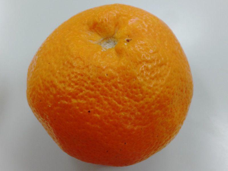 �C���J��