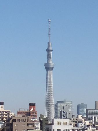 �����X�J�C�c���[(2014�N3��4��)