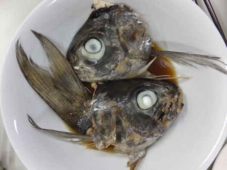 ���_�C�A��(�ڑ�)