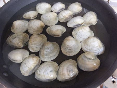 �z���r�m�X�K�C��������