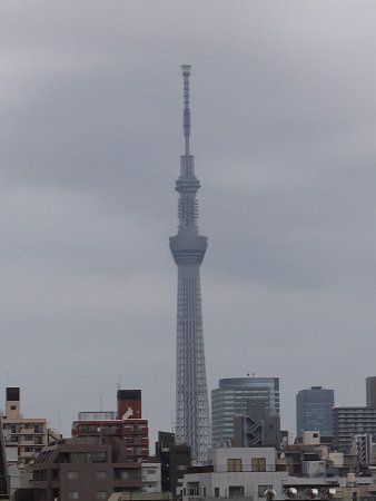 �����X�J�C�c���[