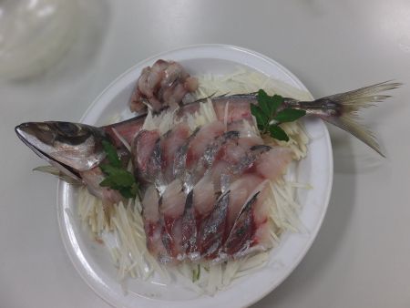 �^���p����