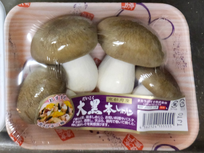 �{�V���W