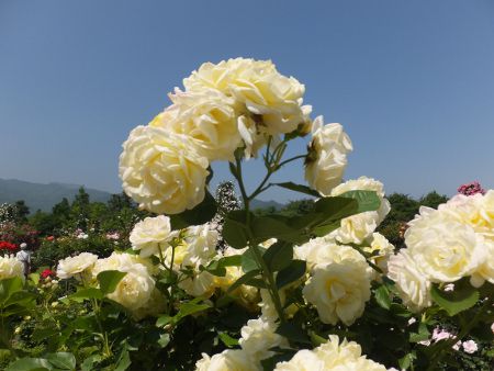 �o����13