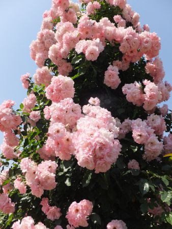 �o����3