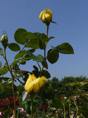 �o����7