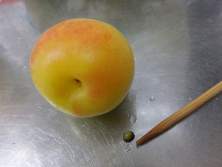 �썂�~�̂ւ����