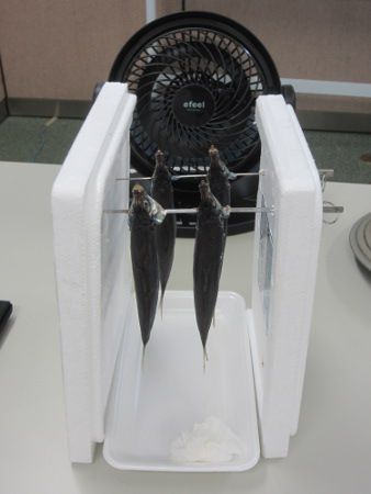 �E�������銱�����쒆1