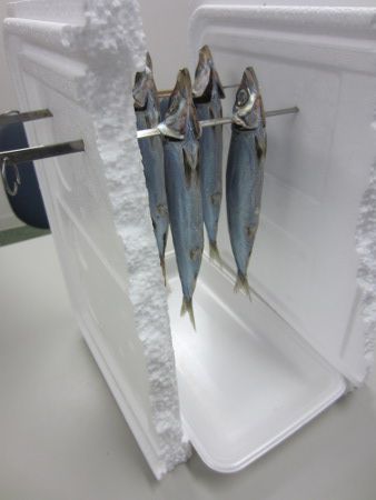 �E�������銱�����쒆2