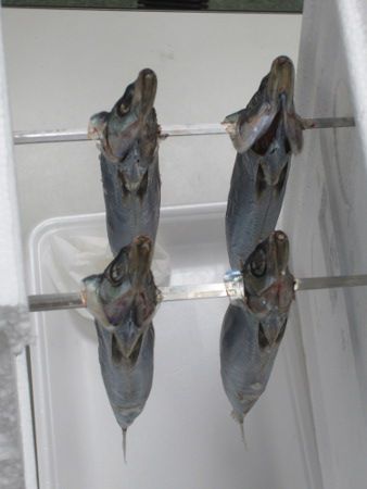 �E�������銱�����쒆3