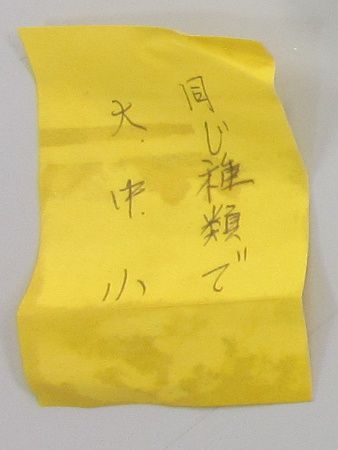 ������ނő咆��