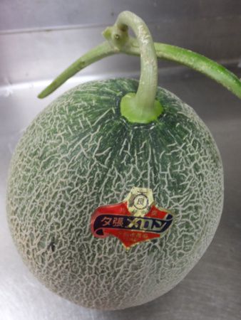 �������iMelon�j