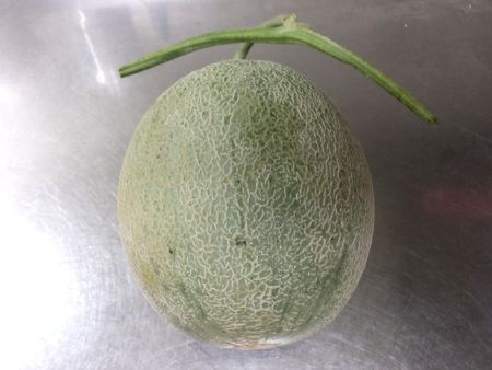 �[��������