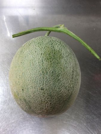 �[��������